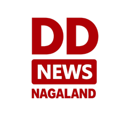 DD News
