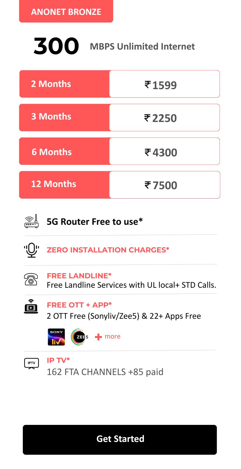 ANONET Silver 300Mbps UL